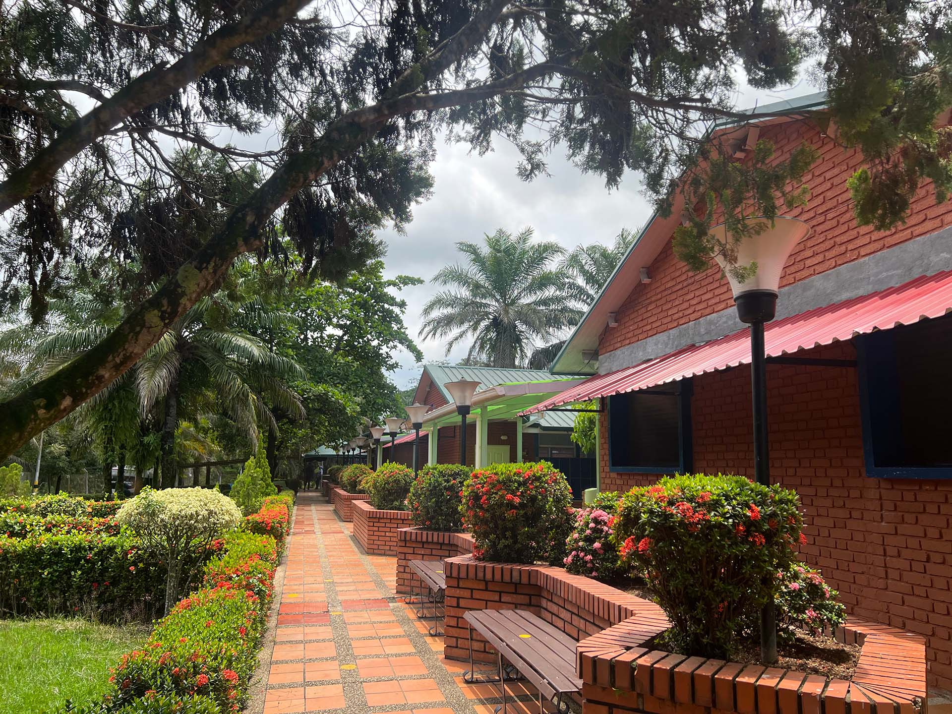 rosario 2