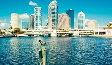OHLA-Tampa-Escuela-de-inglés-cerca-al-centro-de-la-ciudad